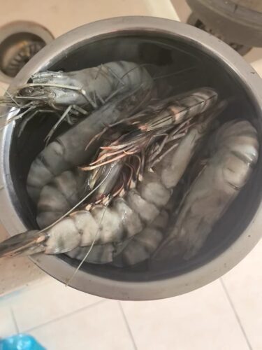 Colossal Black Tiger Prawns photo review